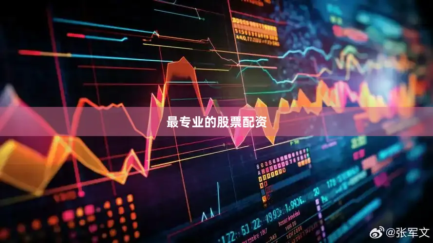 最专业的股票配资