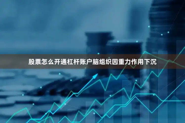 股票怎么开通杠杆账户脑组织因重力作用下沉