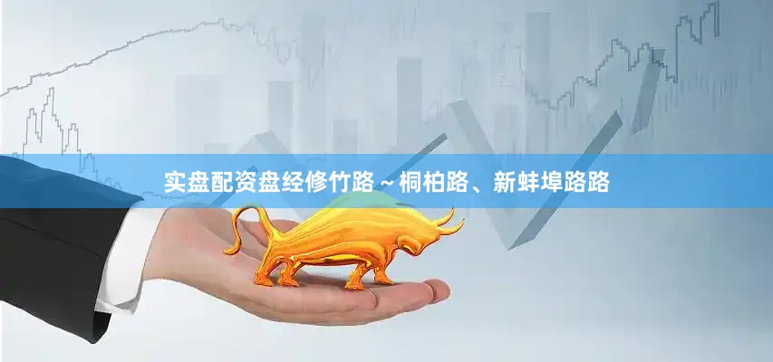 实盘配资盘经修竹路～桐柏路、新蚌埠路路