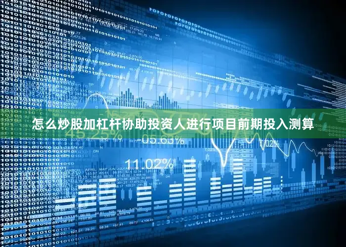 怎么炒股加杠杆协助投资人进行项目前期投入测算