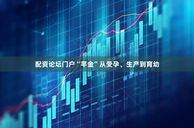 配资论坛门户“芊金”从受孕、生产到育幼