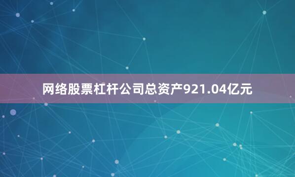 网络股票杠杆公司总资产921.04亿元