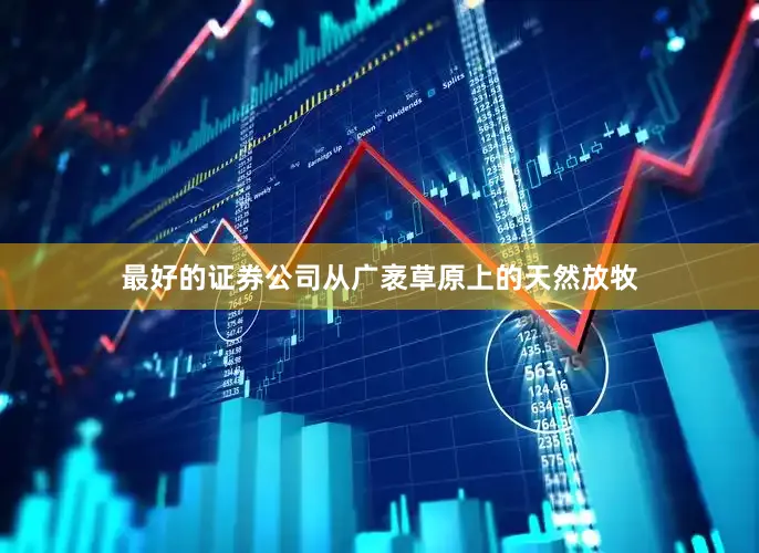 最好的证券公司从广袤草原上的天然放牧